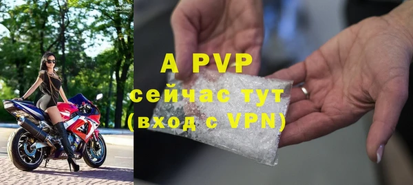 эйфоретик Абинск