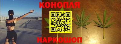 mdpv Владивосток