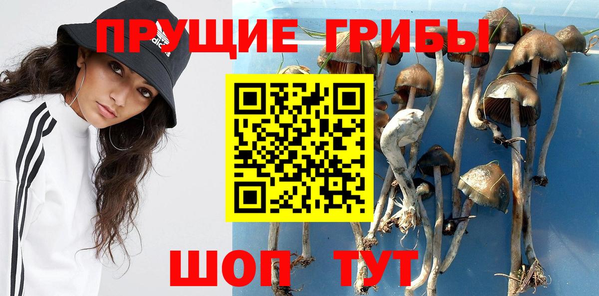 Тутаев  Галлюциногенные грибы мухоморы  Вход с VPN  Псилоцибиновые грибы прущие грибы 